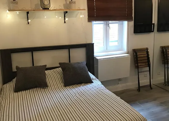 Cozy Studio For 2 People Blandan Sathonay Terreaux